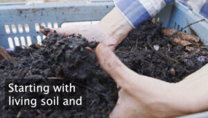 An image of a man picking up rich dark soil with earthworm in it.